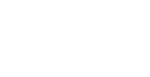 Fondazione Policlinico Universitario Agostino Gemelli IRCCS